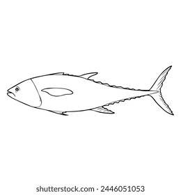 tuna fish line vector illustration,isolated on white background,top view