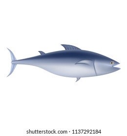 Tuna fish mockup. Realistic illustration of tuna fish vector mockup for web design isolated on white background