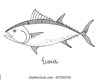 Tuna fish. Seafood design elements. Seafood / fish menu, poster, label etc. Hand drawn ink sketch illustration. Vector illustration