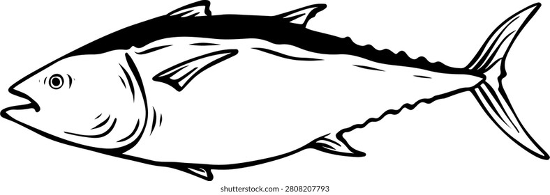 Tuna fish seafood hand drawn vintage engraving style for fishmarket logo design vector illustration