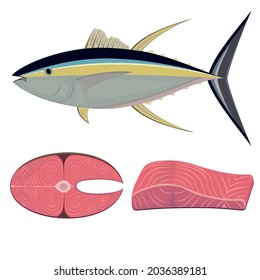 Tuna fish in section, color vector isolated illustration