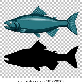 Tuna fish with its silhouette on transparent background illustration