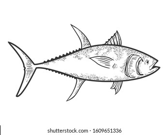 Tuna fish sketch engraving vector illustration. T-shirt apparel print design. Scratch board style imitation. Black and white hand drawn image.