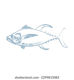 Tuna fish vector hand drawn illustration. Seafood sketch on white background.