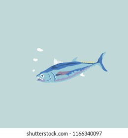Tuna Fish Vector Illustration