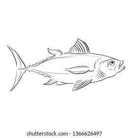 Tuna fish vector illustration