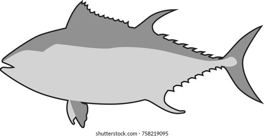 Tuna fish vector illustration