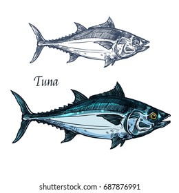 Tuna Fish Vector Sketch Icon. Isolated Sea Or Atlantic Mackerel Scombridae Fish Species. Isolated Marine Fauna Symbol For Seafood Or Fish Food Restaurant Sign Emblem, Fishing Club Or Fishery Market