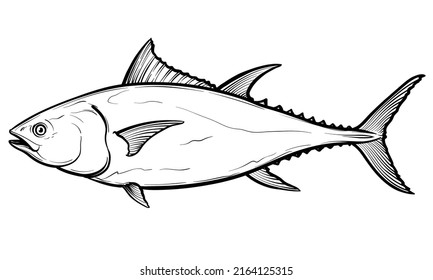 Tuna fish. Vector sketch of a fish, isolated on a white background.