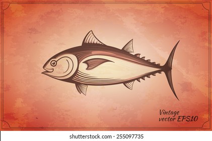 tuna fish vintage vector illustration