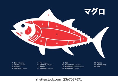 Tuna japanese Cuts diagram on blue background.