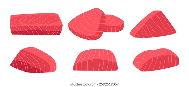 Tuna meat illustration vector bundle. Tuna for sushi food menu vector illustration. Set of sliced pieces of tuna