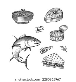 Tuna seafood. Fishes sketch. Retro ink style. Freshwater river fish. Sandwich and canned food. Hand drawn vector illustration for market, menu, label. Organic product in ink and grunge style. 