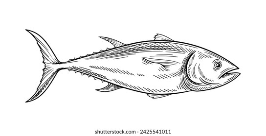 Tuna seafood linear. Hand drawn sketch of fish. Healthy eating with fats and proteins. Menu for cafe or restaurant. Outline flat vector illustration isolated on white background