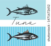 Tuna sketch vector illustration. Hand drawn set of pictures with fish. Food illusttration for menu of cafe, restaurant and etc.