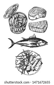 Tuna sketch vector illustration. Hand drawn set of pictures with fish. Food illusttration for menu of cafe, restaurant and etc. Black and white isolated elements.