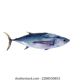 tuna with style hand drawn digital painting illustration