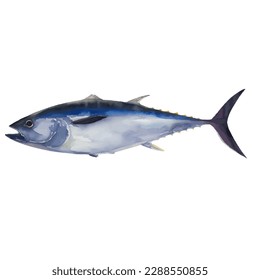 tuna with style hand drawn digital painting illustration