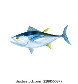 tuna with style hand drawn digital painting illustration