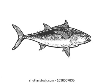 Tuna tunny fish sketch engraving vector illustration. T-shirt apparel print design. Scratch board imitation. Black and white hand drawn image.