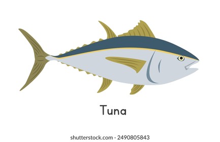 Tuna vector illustration. Tuna fish cartoon clipart, animal in flat style. Sea animals, underwater creatures, ocean animals, marine life concept. Tuna vector design isolated on white background