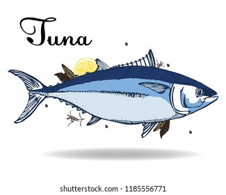 tuna, vector illustration isolated on white background vector