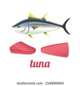tuna yellowfin isolated vector illustration