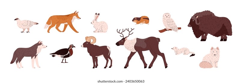 Tundra animals and birds set. North arctic land fauna. Flat isolated vector illustrations collection.