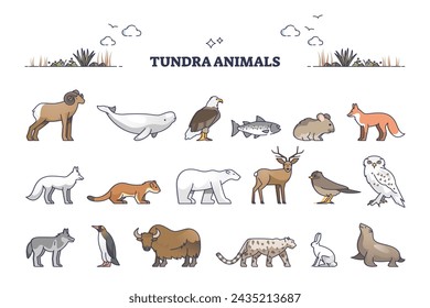 Colección de animales de la tundra con conjunto de contornos tipo criaturas del hábitat natural. Mamíferos silvestres para la ilustración vectorial de la región ártica sin árboles. Típico ejemplo de fauna con focas, zorros, conejos y lobos.