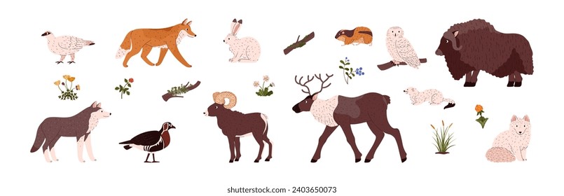 Los mamíferos, aves y plantas del Ártico de Tundra ponen una ilustración vectorial plana aislada en el fondo blanco. Recogida de aves y animales del Polar y Tundra.