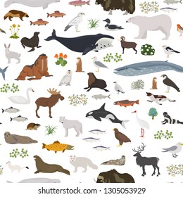 Tundra biome. Terrestrial ecosystem world map. Arctic animals, birds, fish and plants seamless pattern design. Vector illustration