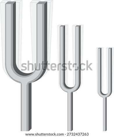 tuning fork, vibratory sensation and hearing.