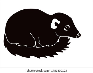 Tupaia silhouette - kleiner Primat - Vektorbild für Logo oder Piktogramm. Asiatisches kleines Tier - Tupaia gemeinsame schwarze Silhouette. Tupaia cub.