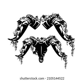 tur goat or ram skull and horns decorated with rose flower stems - black and white vector outline design set