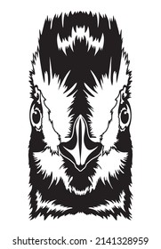 Turaco bird face vector iilustration in hand drawn style, perfect for tshirt and mascot design 