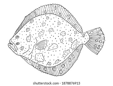 Turbot fish hand drawn. White and black. Beautiful fish isolated on white background. Design element. Coloring page. Vector illustration. 