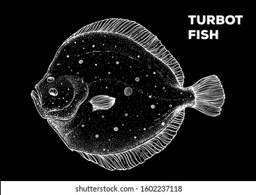 Turbot fish sketch. Hand drawn vector illustration. Seafood design element for packaging. Engraved style illustration. Can used for packaging design. Flounder fish label.