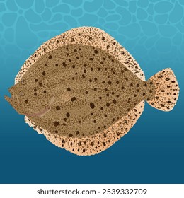 The Turbot Fish Vector Image