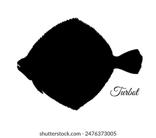 Turbot silhouette. Illustration of flatfish.