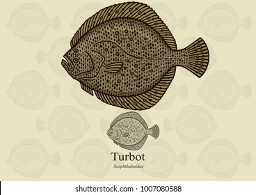 Turbot. Vector illustration with refined details and optimized stroke that allows the image to be used in small sizes (in packaging design, decoration, educational graphics, etc.)