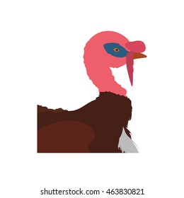 Turkey animal farm pet character icon. Isolated and flat illustration. Vector graphic