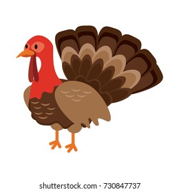 turkey animal icon image 