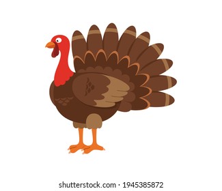 Turkey Animal Icon Image, Thanksgiving Cartoon Turkey Bird. Illustration Of Funny Turkey Character Clipart