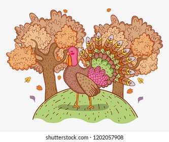 turkey animal with trees leaves autumn