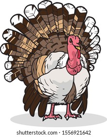 Turkey Animal Vector Illustration For Any Graphic Design project