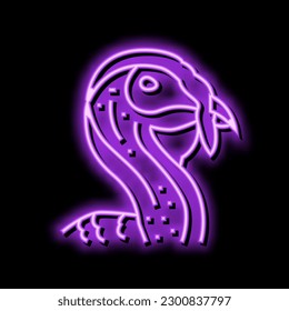 turkey animal zoo neon light sign vector. turkey animal zoo illustration