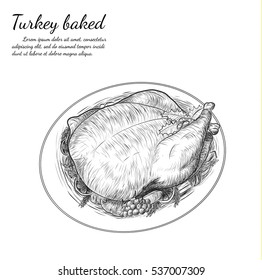 Turkey baked vector on white background.Chicken Steak with vegetable on dish.