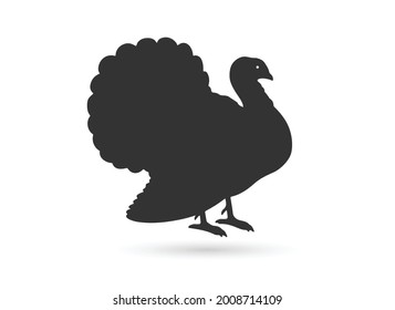 Turkey bird black silhouette animal