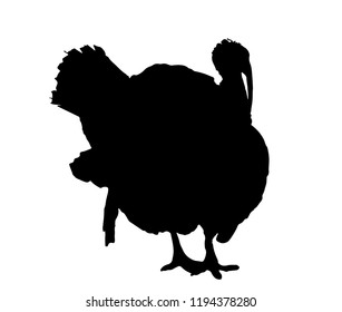 Turkey bird black silhouette isolated on white background. Simple farm animal profile, vector illustration, eps 10