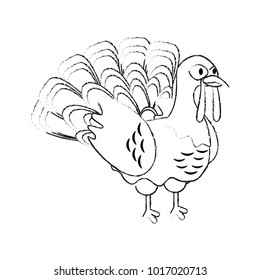 Turkey bird cartoon